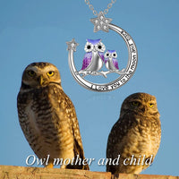 Load image into Gallery viewer, YFJewelz™ S925 Sterling Silver OWL Mother &amp; Daughter &quot;Love You to Moon&quot; Quote Star Necklace mother daughter necklace YFJLuv™ 
